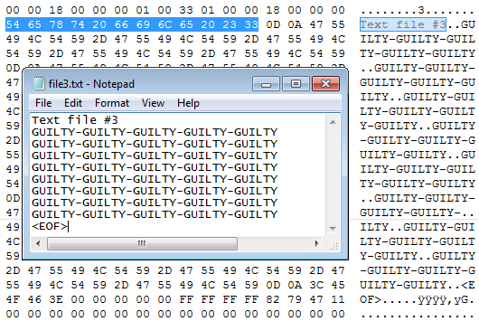 Figure 1: File and sector view before change.